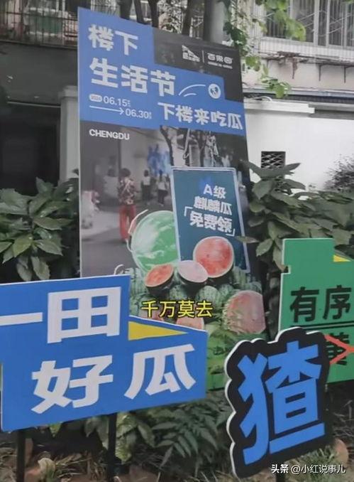 吃瓜网红打卡地