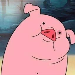 娱乐吃瓜酱猪猪视频下载,揭秘热门娱乐内容获取新方式  第2张